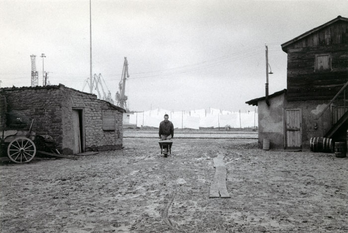 &nbsp;&nbsp;Τεχνικός&nbsp;συνεργάτης&nbsp;του&nbsp;Θόδωρου&nbsp;Αγγελόπουλου&nbsp;κατά&nbsp;τη&nbsp;διάρκεια&nbsp;των&nbsp;γυρισμάτων&nbsp;της&nbsp;ταινίας&nbsp;«Το&nbsp;λιβάδι&nbsp;που&nbsp;δακρύζει»,&nbsp;2004