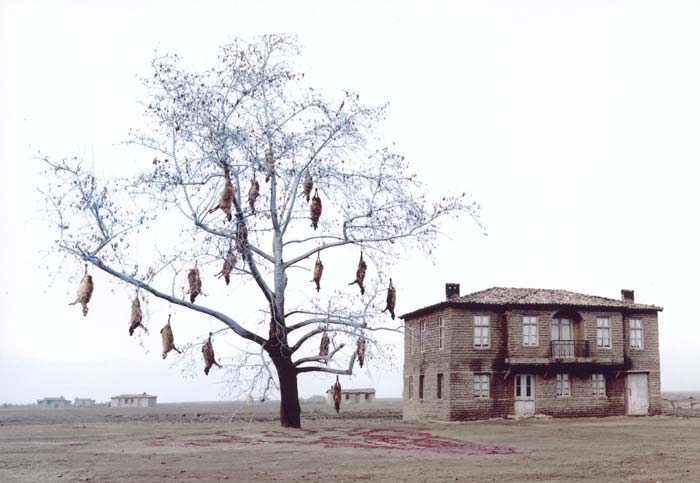 A&nbsp;still&nbsp;of&nbsp;the&nbsp;film&nbsp;"Trilogy&nbsp;I:&nbsp;The&nbsp;Weeping&nbsp;Meadow"