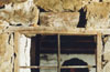Ο Γρηγόρης Ευαγγελάτος στην ταινία «Ο Μεγαλέξανδρος», Φωτογραφία: Σοφικίτης Δημήτριος

